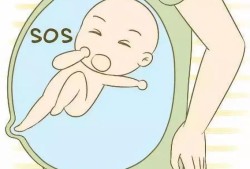 19周胎儿胎动频繁（19周胎儿胎动频繁是什么原因）
