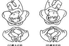 胎儿左枕横位图片（怀孕七个月横位怎么办？我该为宝宝做的措施是什么）