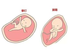 怀孕晚期胎儿动的厉害（孕晚期38周胎动厉害是不是要生了）