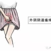 孕期阴部胀