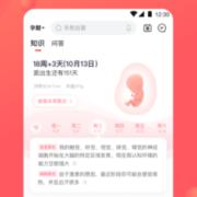 下载孕期宝宝树（下载宝宝树孕育,怀孕周期准不准）