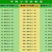 胎儿增长慢（胎儿增长慢）