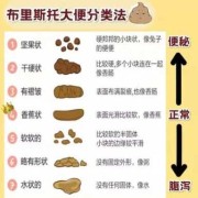 胎儿入盆便秘（胎儿入盆便秘会加重吗）