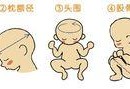 怀孕七个月双顶径7.3cm宝宝应该有多少斤,孕期7个月胎儿有多重