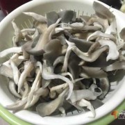怀孕初期能吃平菇吗,孕妇吃平菇对胎儿好吗有影响吗