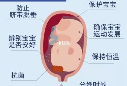 胎儿吞羊水（羊水多吃什么排水）