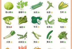 怀孕期间应该多吃什么（怀孕期间应该多吃什么水果和蔬菜）