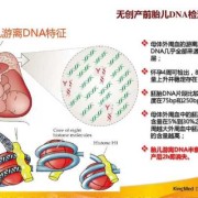 dna寻亲流程及注意事项,胎儿dna鉴定中心官网