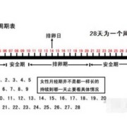易孕期和排卵日有什么区别（易孕期和排卵日有什么区别吗）