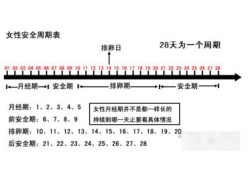 易孕期和排卵日有什么区别（易孕期和排卵日有什么区别吗）