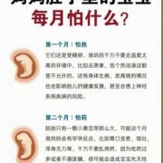 胎儿几个月怕辐射（胎宝宝每个月怕什么）