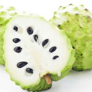 孕期可以吃释迦吗（孕期可以吃释迦吗有营养吗）