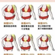 孕期体脂率（孕期体脂率）