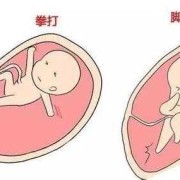 胎儿在肚脐周围动（胎儿在肚脐周围动）