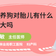 孕期可以养狗吗（怀孕期间家里养狗对胎儿有什么影响）