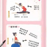 孕妇瑜伽用的工具,孕期工具书