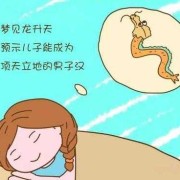 孕期的胎梦（孕期的胎梦能预示宝宝性别吗）