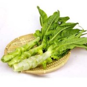孕妇能吃莴笋吗？快四个月了，吃哪些食物促进胎儿发育好,怀孕能吃莴笋么