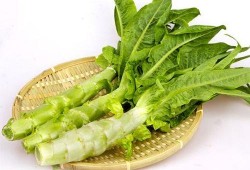孕妇能吃莴笋吗？快四个月了，吃哪些食物促进胎儿发育好,怀孕能吃莴笋么