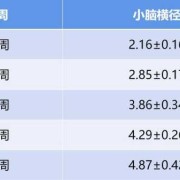 胎儿脑侧室正常值（胎儿脑侧室正常值范围）