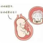 孕前吸烟对胎儿的影响（孕前吸烟对胎儿的影响大吗）