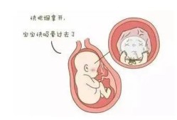 孕前吸烟对胎儿的影响（孕前吸烟对胎儿的影响大吗）