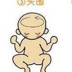 八个月小宝宝头围标准多少？我家小宝宝八个月，头围是41CM,怀孕8周胎儿发育标准图片