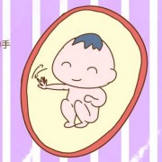 怀孕29周胎动的厉害正常吗,孕期反应强烈说明什么原因