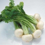 孕期能吃萝卜叶吗（孕期能吃萝卜叶吗）