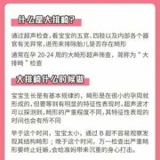 孕期排畸（怀孕做大排畸多少钱，什么时候做合适）