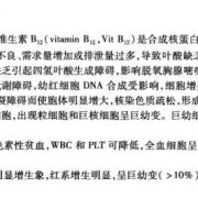 维生素b12和叶酸缺乏可导致哪种疾病,孕期缺乏维生素b12对胎儿有影响吗
