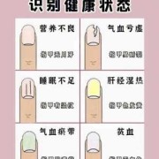 胎宝宝几周开始长指甲,胎儿指甲长会划破羊膜吗
