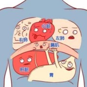 孕32周宝宝打嗝频繁怎么回事,胎儿横膈肌应该什么位置