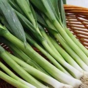 九个月宝宝可以吃蒜苗吗,孕妇吃蒜苗对胎儿有影响吗