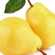 孕期能吃梨吗（孕期能吃梨吗一天一个）
