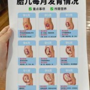 怀孕29周胎儿发育情况（怀孕29周胎儿发育情况吃什么有营养）