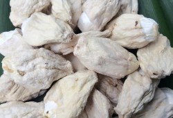 竹胎盘怎么泡发,胎盘太嫩对胎儿好不好