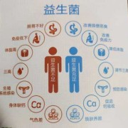 孕期补充益生菌（孕期补充益生菌的好处）