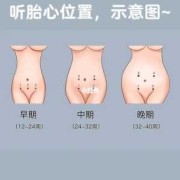 经常听胎心对胎儿有影响吗（每天听胎心，会对宝宝有影响吗）