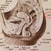 孕期阴道口疼（孕期下体偶尔一阵轻微刺痛）