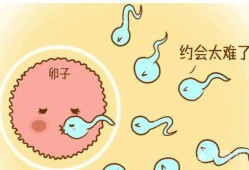 易孕期体外排精会怀孕吗（人家说体外也会怀孕,是什么原因）