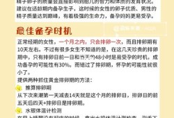最佳备孕期（最佳备孕期）