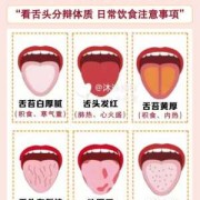 胎儿中间帆腔是什么（小舌头学名叫什么）