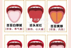 胎儿中间帆腔是什么（小舌头学名叫什么）
