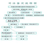 胎儿司法鉴定（胎儿司法鉴定程序过程）