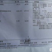 孕酮低于几不建议保胎啊？我查了孕酮偏低，吃药物会有副作用吗,孕酮低到12.3能保住吗