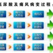 孕期尿酸偏高（孕期尿酸偏高是什么原因）