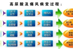 孕期尿酸偏高（孕期尿酸偏高是什么原因）