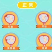 胎儿后壁图（后壁和后位是一个意思吗）