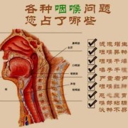 怀孕期间扁桃体发炎 喉咙肿痛（怀孕嗓子发炎怎么办）